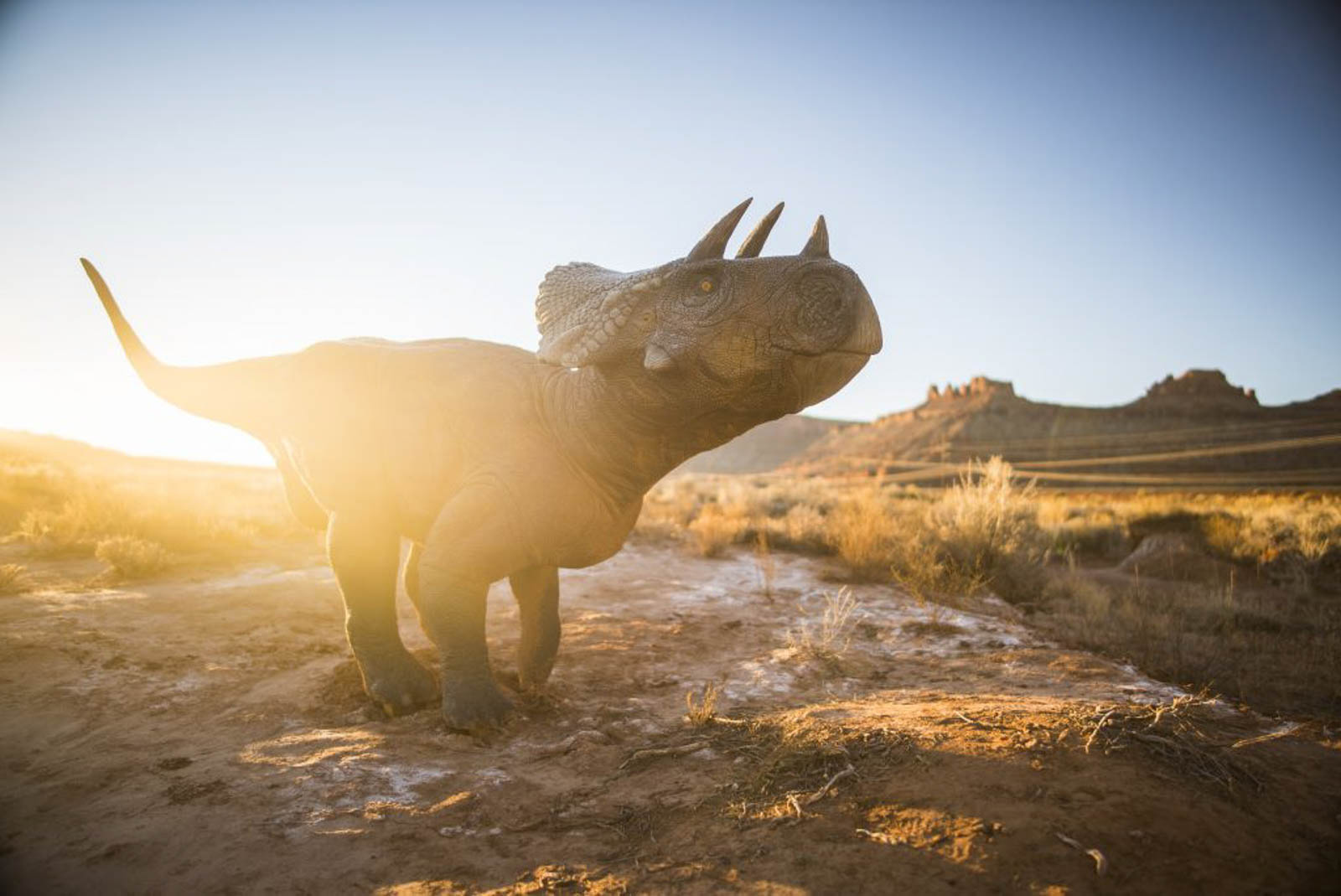 Deinonychus Antirrhopus – Moab Giants
