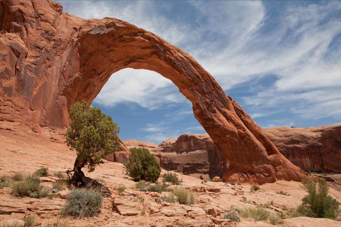 Corona Arch 1737505623